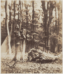24845 Omgewaaide bomen aan de Spanjaardslaan na de storm van 29 mei 1860., 1860-05-30