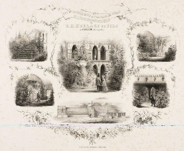 41453 Vue du Jardin d'hiver et d'une partie des serres de l'établissement horticole de E.H. Krelage et Fils Á Harlem ...