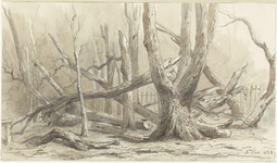 41467 Omgewaaide bomen bij de Koekamp te Haarlem na de storm van 3 december 1863. Aquarel met potlood, pen en penseel ...
