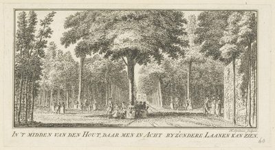 47134 In 't midden van den Hout, daar men in Acht byzondere Laanen kan zienDen Hout, middenKopergravure, 1763, 1763