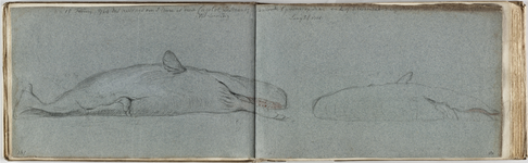 51754 Schetsboek van Cornelis van Noorde. Een oblong bundel in perkamenten band bestaande uit 168 bladen met 80 ...