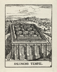 2247 De tempel van Salomo in vogelvlucht. Op de achtergrond JeruzalemHoutgravure; linksonder gemonogrammeerd en ...
