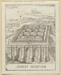2248 De tempel van Salomo in vogelvlucht. Op de achtergrond JeruzalemHoutgravure, tegendruk van ...