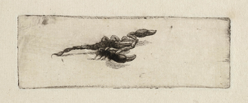 2440 Een schorpioen- of rivierkreeftachtige. Ets., 1655-1694